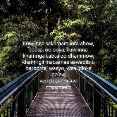 Picture 05 - Yoo'eel 1:5 SOM - Kuwiinna sakhraamiinta ahow, toosa, oo ooya, - Bible Verse Picture
