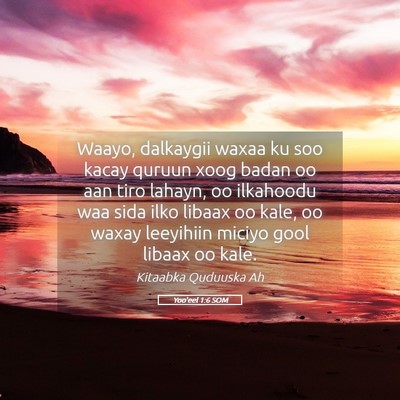 Picture 05 - Yoo'eel 1:6 SOM - Waayo, dalkaygii waxaa ku soo kacay quruun xoog - Bible Verse Picture