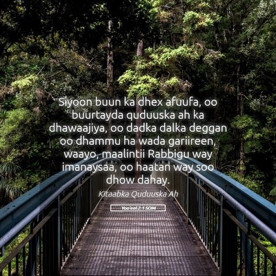 Picture 05 - Yoo'eel 2:1 SOM - Siyoon buun ka dhex afuufa, oo buurtayda quduuska - Bible Verse Picture