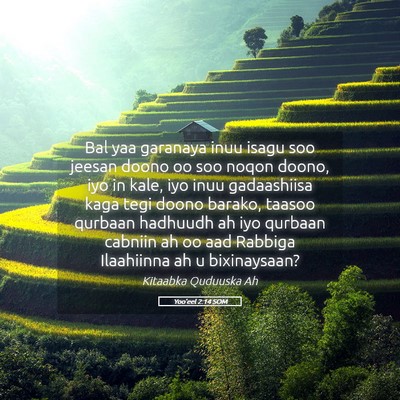 Picture 05 - Yoo'eel 2:14 SOM - Bal yaa garanaya inuu isagu soo jeesan doono oo - Bible Verse Picture