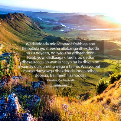 Picture 05 - Yoo'eel 2:17 SOM - Wadaaddada midiidinnada Rabbiga ahu balbalada iyo - Bible Verse Picture