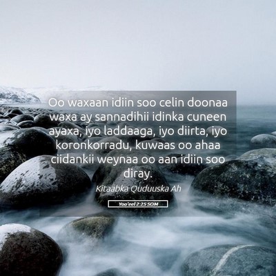Picture 05 - Yoo'eel 2:25 SOM - Oo waxaan idiin soo celin doonaa waxa ay - Bible Verse Picture
