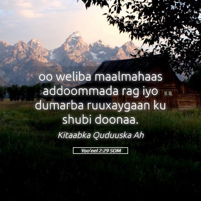 Picture 05 - Yoo'eel 2:29 SOM - oo weliba maalmahaas addoommada rag iyo dumarba - Bible Verse Picture