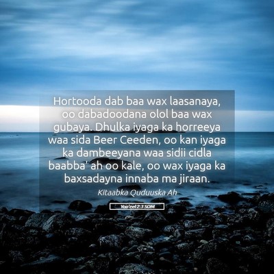 Picture 05 - Yoo'eel 2:3 SOM - Hortooda dab baa wax laasanaya, oo dabadoodana - Bible Verse Picture