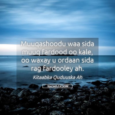 Picture 05 - Yoo'eel 2:4 SOM - Muuqashoodu waa sida muuq fardood oo kale, oo - Bible Verse Picture