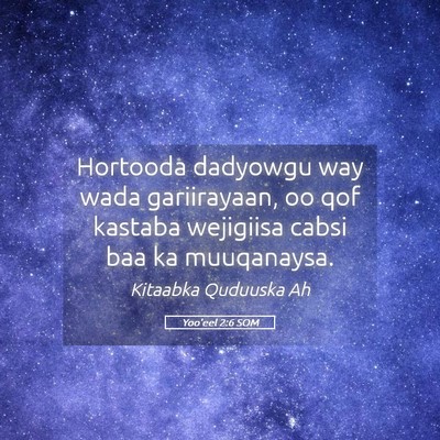 Picture 05 - Yoo'eel 2:6 SOM - Hortooda dadyowgu way wada gariirayaan, oo qof - Bible Verse Picture