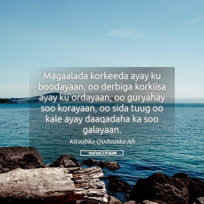 Picture 05 - Yoo'eel 2:9 SOM - Magaalada korkeeda ayay ku boodayaan, oo derbiga - Bible Verse Picture