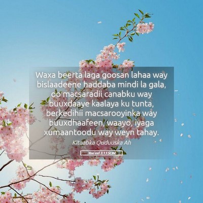 Picture 05 - Yoo'eel 3:13 SOM - Waxa beerta laga goosan lahaa way bislaadeene - Bible Verse Picture