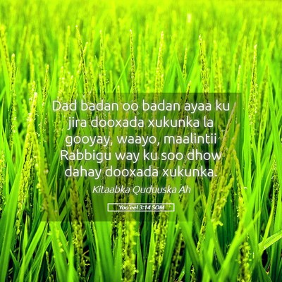 Picture 05 - Yoo'eel 3:14 SOM - Dad badan oo badan ayaa ku jira dooxada xukunka - Bible Verse Picture