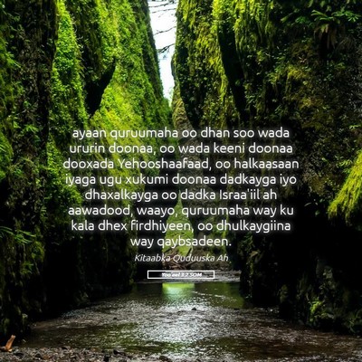 Picture 05 - Yoo'eel 3:2 SOM - ayaan quruumaha oo dhan soo wada ururin doonaa, - Bible Verse Picture