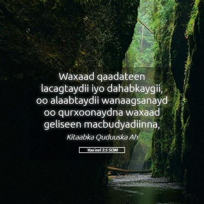 Picture 05 - Yoo'eel 3:5 SOM - Waxaad qaadateen lacagtaydii iyo dahabkaygii, oo - Bible Verse Picture