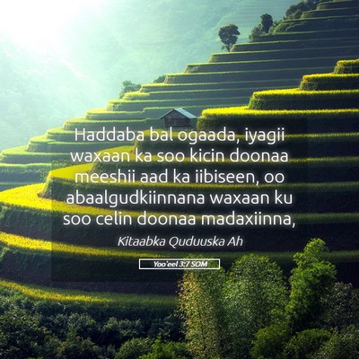 Picture 05 - Yoo'eel 3:7 SOM - Haddaba bal ogaada, iyagii waxaan ka soo kicin - Bible Verse Picture