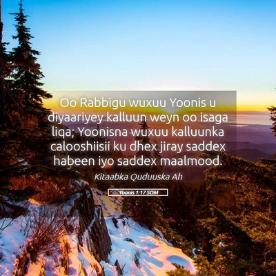 Picture 05 - Yoonis 1:17 SOM - Oo Rabbigu wuxuu Yoonis u diyaariyey kalluun weyn - Bible Verse Picture