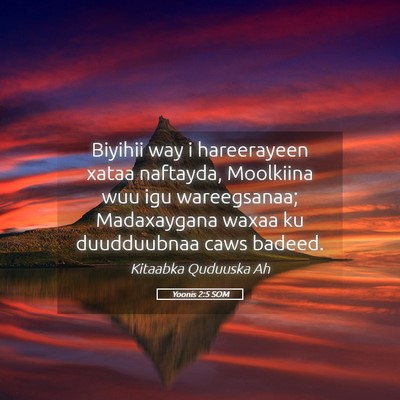 Picture 05 - Yoonis 2:5 SOM - Biyihii way i hareerayeen xataa naftayda, - Bible Verse Picture