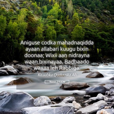 Picture 05 - Yoonis 2:9 SOM - Aniguse codka mahadnaqidda ayaan allabari kuugu - Bible Verse Picture