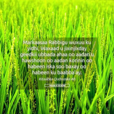 Picture 05 - Yoonis 4:10 SOM - Markaasaa Rabbigu wuxuu ku yidhi, Waxaad u - Bible Verse Picture