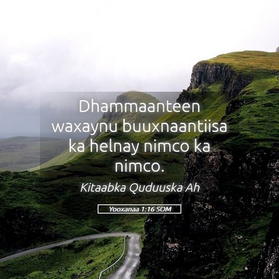 Picture 05 - Yooxanaa 1:16 SOM - Dhammaanteen waxaynu buuxnaantiisa ka helnay - Bible Verse Picture