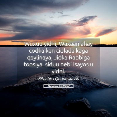 Picture 05 - Yooxanaa 1:23 SOM - Wuxuu yidhi, Waxaan ahay codka kan cidlada kaga - Bible Verse Picture