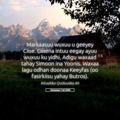 Picture 05 - Yooxanaa 1:42 SOM - Markaasuu wuxuu u geeyey Ciise. Ciisena intuu - Bible Verse Picture