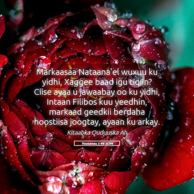 Picture 05 - Yooxanaa 1:48 SOM - Markaasaa Nataana'el wuxuu ku yidhi, Xaggee baad - Bible Verse Picture
