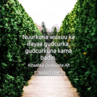 Picture 05 - Yooxanaa 1:5 SOM - Nuurkuna wuxuu ka ifayaa gudcurka, gudcurkuna - Bible Verse Picture