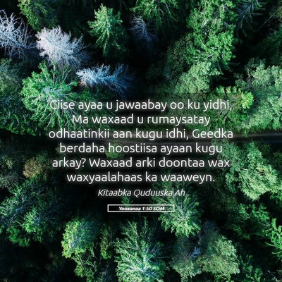 Picture 05 - Yooxanaa 1:50 SOM - Ciise ayaa u jawaabay oo ku yidhi, Ma waxaad u - Bible Verse Picture