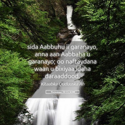 Picture 05 - Yooxanaa 10:15 SOM - sida Aabbuhu ii garanayo, anna aan Aabbaha u - Bible Verse Picture