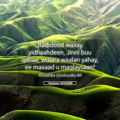 Picture 05 - Yooxanaa 10:20 SOM - Badidood waxay yidhaahdeen, Jinni buu qabaa, - Bible Verse Picture