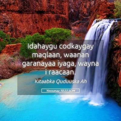 Picture 05 - Yooxanaa 10:27 SOM - Idahaygu codkaygay maqlaan, waanan garanayaa - Bible Verse Picture