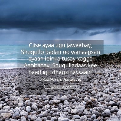 Picture 05 - Yooxanaa 10:32 SOM - Ciise ayaa ugu jawaabay, Shuqullo badan oo - Bible Verse Picture