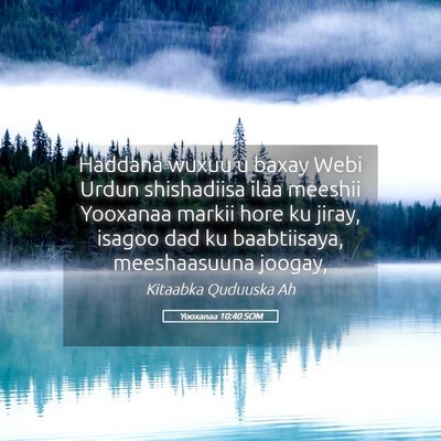 Picture 05 - Yooxanaa 10:40 SOM - Haddana wuxuu u baxay Webi Urdun shishadiisa ilaa - Bible Verse Picture