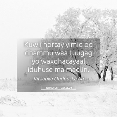 Picture 05 - Yooxanaa 10:8 SOM - Kuwii hortay yimid oo dhammu waa tuugag iyo - Bible Verse Picture