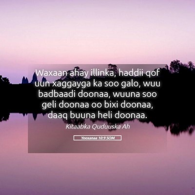 Picture 05 - Yooxanaa 10:9 SOM - Waxaan ahay illinka, haddii qof uun xaggayga ka - Bible Verse Picture