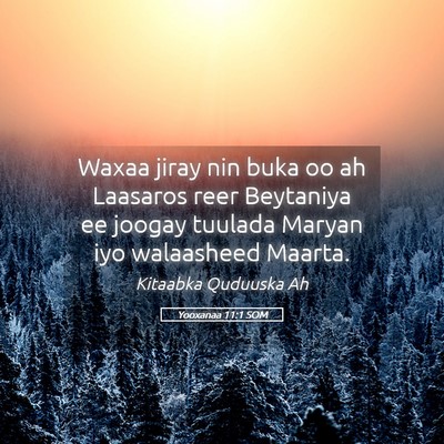 Picture 05 - Yooxanaa 11:1 SOM - Waxaa jiray nin buka oo ah Laasaros reer - Bible Verse Picture