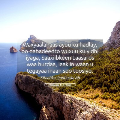 Picture 05 - Yooxanaa 11:11 SOM - Waxyaalahaas ayuu ku hadlay, oo dabadeedto wuxuu - Bible Verse Picture