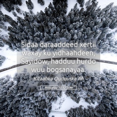 Picture 05 - Yooxanaa 11:12 SOM - Sidaa daraaddeed xertii waxay ku yidhaahdeen, - Bible Verse Picture