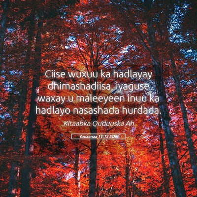 Picture 05 - Yooxanaa 11:13 SOM - Ciise wuxuu ka hadlayay dhimashadiisa, iyaguse - Bible Verse Picture