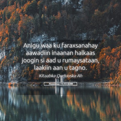 Picture 05 - Yooxanaa 11:15 SOM - Anigu waa ku faraxsanahay aawadiin inaanan - Bible Verse Picture