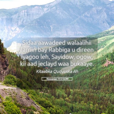 Picture 05 - Yooxanaa 11:3 SOM - Sidaa aawadeed walaalihii farriin bay Rabbiga u - Bible Verse Picture