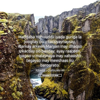 Picture 05 - Yooxanaa 11:31 SOM - Haddaba Yuhuuddii iyada guriga la joogtay oo u - Bible Verse Picture