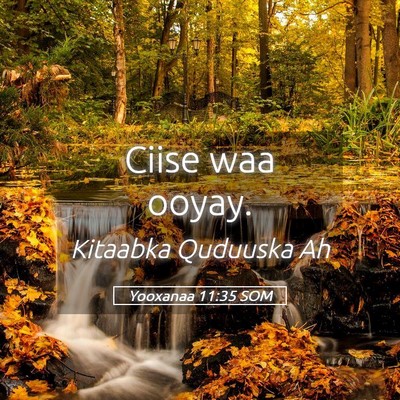 Picture 05 - Yooxanaa 11:35 SOM - Ciise waa - Bible Verse Picture