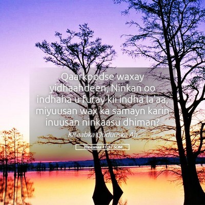 Picture 05 - Yooxanaa 11:37 SOM - Qaarkoodse waxay yidhaahdeen, Ninkan oo indhaha u - Bible Verse Picture