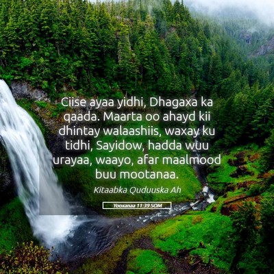 Picture 05 - Yooxanaa 11:39 SOM - Ciise ayaa yidhi, Dhagaxa ka qaada. Maarta oo - Bible Verse Picture