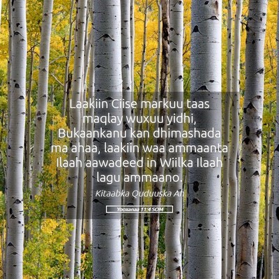 Picture 05 - Yooxanaa 11:4 SOM - Laakiin Ciise markuu taas maqlay wuxuu yidhi, - Bible Verse Picture
