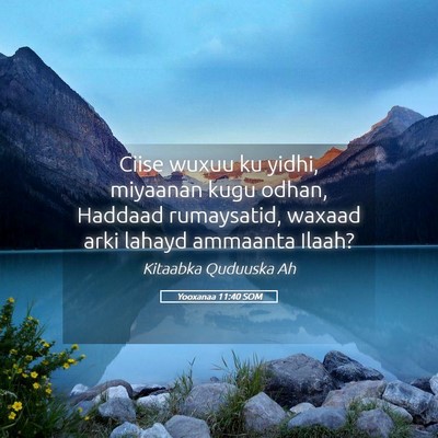 Picture 05 - Yooxanaa 11:40 SOM - Ciise wuxuu ku yidhi, miyaanan kugu odhan, - Bible Verse Picture