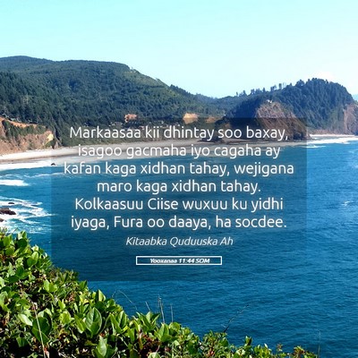 Picture 05 - Yooxanaa 11:44 SOM - Markaasaa kii dhintay soo baxay, isagoo gacmaha - Bible Verse Picture