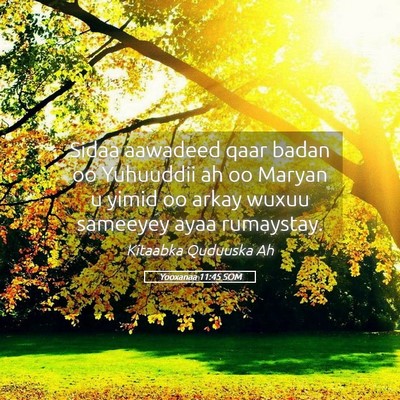 Picture 05 - Yooxanaa 11:45 SOM - Sidaa aawadeed qaar badan oo Yuhuuddii ah oo - Bible Verse Picture