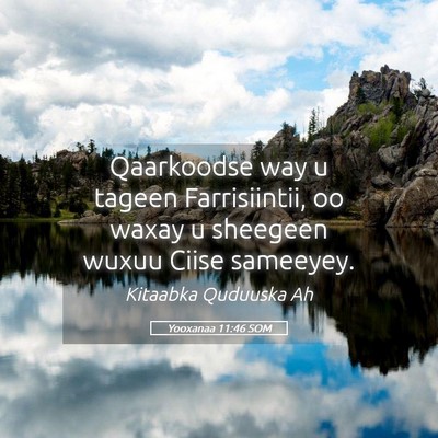 Picture 05 - Yooxanaa 11:46 SOM - Qaarkoodse way u tageen Farrisiintii, oo waxay u - Bible Verse Picture