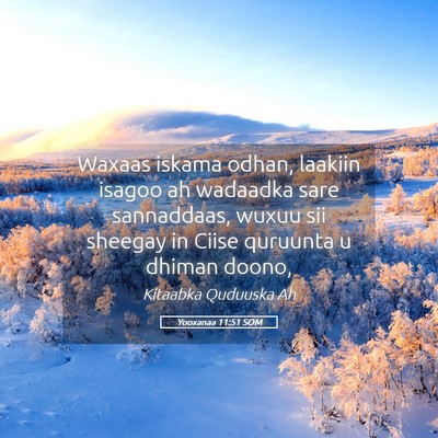 Picture 05 - Yooxanaa 11:51 SOM - Waxaas iskama odhan, laakiin isagoo ah wadaadka - Bible Verse Picture