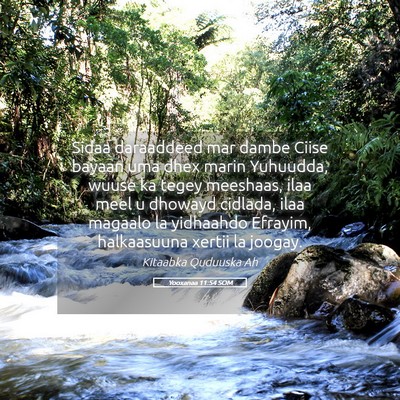 Picture 05 - Yooxanaa 11:54 SOM - Sidaa daraaddeed mar dambe Ciise bayaan uma dhex - Bible Verse Picture